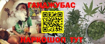 бошки Гатчина