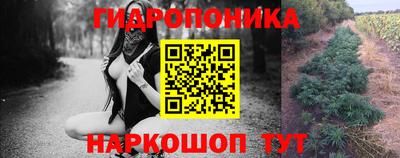 бошки Гатчина