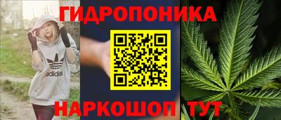 бошки Гатчина