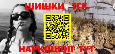бошки Гатчина