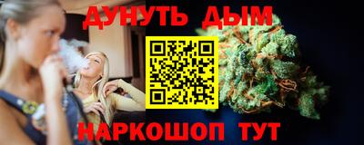 мдпв Гагарин