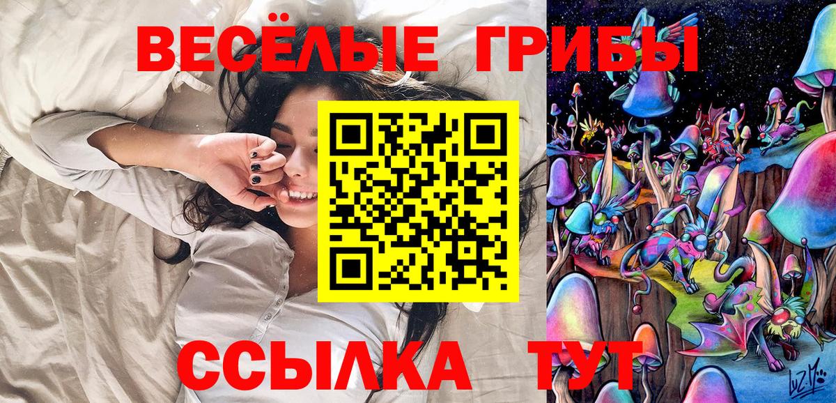 Коряжма  где можно купить   Вход с VPN  Псилоцибиновые грибы прущие грибы 