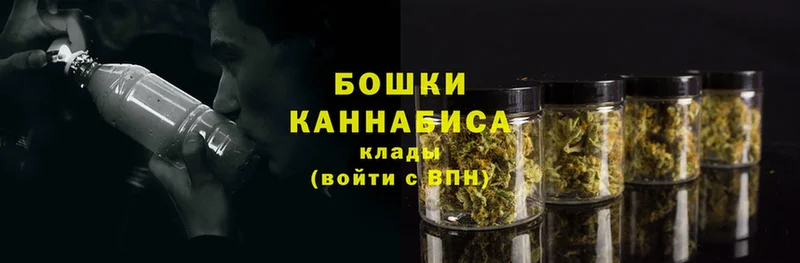 Бошки марихуана Bruce Banner  Коряжма 