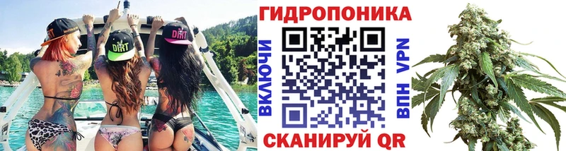 где купить   Коряжма  Каннабис индика 